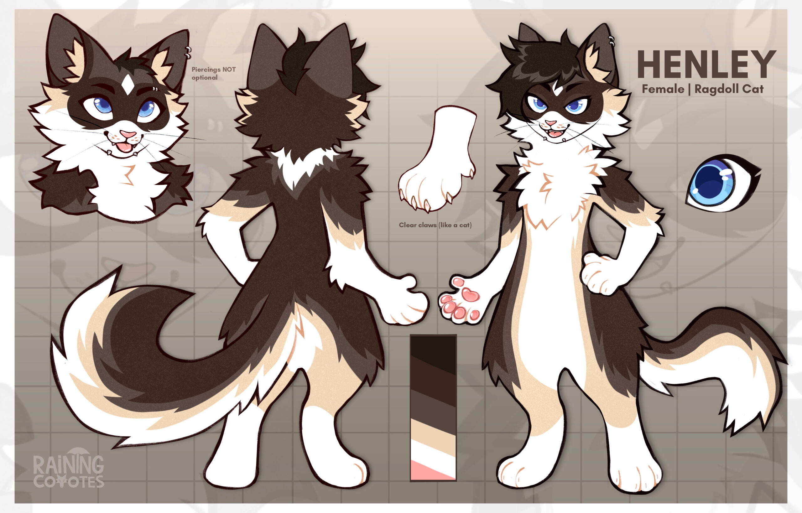 Generic Reference sheet with eye & paw closeup